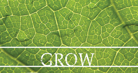 Grow (Our God Is Generous)